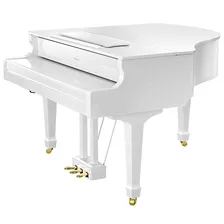 Roland GP-609 Pw Цифровой рояль