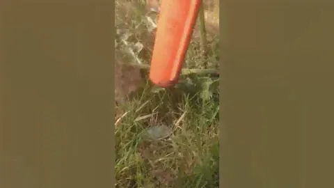 GP-Pointer